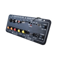 Profesyonel D10 USB ses amplifikatörü kurulu HIFI 12V/24V/220V çok fonksiyonlu Mic ev TF d bluetooth alıcıları amplifikatörler
