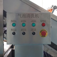 Commerciële Automatische Fruit Gember Mango Appel Reinigingsmachine Luchtbel Groente Wasmachine Bubble Wasmachine