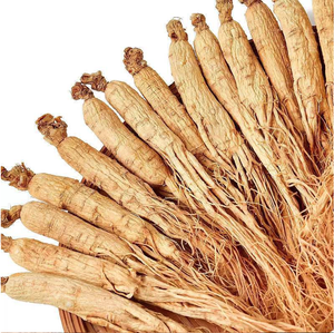 Raíz de <span class=keywords><strong>ginseng</strong></span> Qingchun <span class=keywords><strong>Ginseng</strong></span> seco <span class=keywords><strong>Ginseng</strong></span> fresco a buen precio - Product Image 3