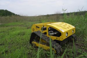 Cortacésped 550mm Mini Riding Smart Field Máquina de corte Motor Cortacésped Motor Scythe - Product Image 5