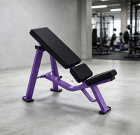 Banc de musculation en acier de qualité commerciale REYK à inclinaison fixe de 30 degrés avec presse pectorale et dispositifs de sécurité