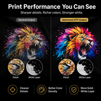 Ensemble d'encre DTF CMYK Blanc Couleurs Vives Haute Qualité à Base d'Eau pour Impression par Transfert Thermique sur Film PET I1600 I3200 XP600