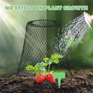 Cloche conique réutilisable en fil de fer pour plantes, cage en maille de protection pour plantes en pot et semis contre les nuisibles - Product Image 5