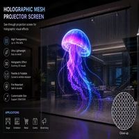 Malla de Pantalla Holográfica de Alta Ganancia 16:9 con Ángulo de Visión de 360 Grados para Grandes Escenarios (Portátil)