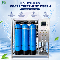 Système RO personnalisable 500 LPH avec contrôle PLC, machine d'osmose inverse directe usine, purificateur d'eau avec réservoir FRP multicolore