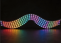 Panneau programmable de pixel de RVB LED-WS2812B SK6812 matrice de points 8x32/16x16/8x8