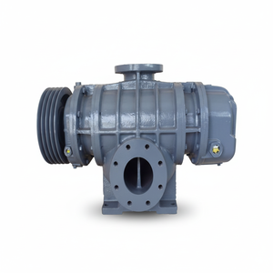 Pompe à vide Roots en fonte haute performance 22KW AC 220V pour aspiration et extraction de matériaux (OEM) - Product Image 3