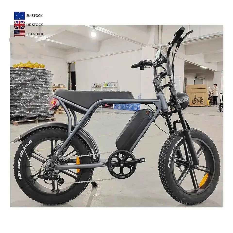 2023 Nieuwe Model 20 Inch 750W 48V E-Bike Dikke Band Elektrische Racefiets Elektrische Mountainbike Elektrische Hybride Stadsfiets