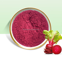 Poudre de racine de betterave rouge séchée par pulvérisation 100 % naturelle en gros, additif alimentaire, directement de l'entrepôt