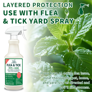Pulverizador antipulgas y garrapatas <span class=keywords><strong>para</strong></span> perros, gatos y hogar, tratamiento de prevención de control de garrapatas con aceites esenciales naturales, madera de cedro - Product Image 4