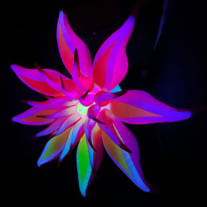 Lớn <span class=keywords><strong>Inflatable</strong></span> Sao Hoa tác phẩm điêu khắc colour thay đổi đèn Led <span class=keywords><strong>Inflatable</strong></span> nghệ thuật trang trí cho các sự kiện sân khấu - Product Image 4