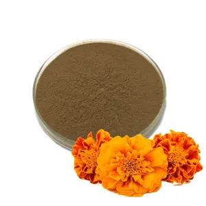 Extracto de flor de caléndula pura de alta calidad/polvo de extracto de Calendula Officinalis 10:1