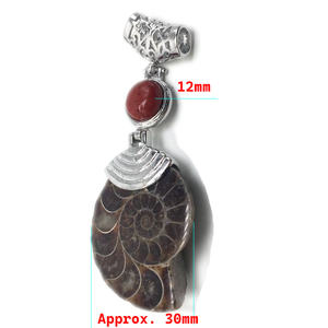 Cristal naturel Ammonite vis coquillage conque pierre escargot fossiles pendentif bijoux de style bohème avec sept chakras - Product Image 3