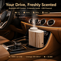 Diffuseur de voiture grande capacité pour huiles essentielles, sans eau, contrôle par application, électrique, USB, portable, luxe, aromathérapie, fonction minuterie, OEM