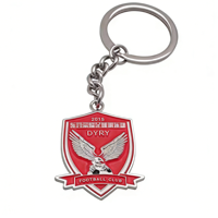 Porte-clés personnalisés avec logo peint, porte-clés en métal, porte-clés en alliage moulé sous pression pour souvenir