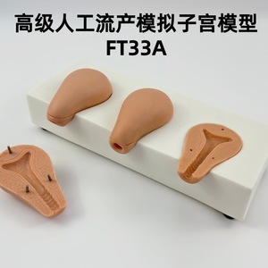 Modèle avancé de simulation utérine pour l'avortement indue, 3 modèles simulés d'anatomie utérine, formation en obstétrique et gynécologie - Product Image 5