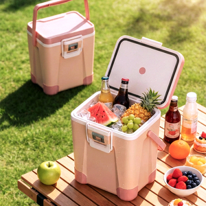 Glacière portable isolée en plastique PP moulé par injection de 10 L pour 3 à 4 personnes, idéale pour le camping en plein air - Product Image 1