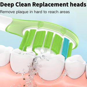 Cabezales de repuesto estándar para <span class=keywords><strong>Philips</strong></span> <span class=keywords><strong>Sonicare</strong></span> con parachoques de silicona suave y anillo metálico de reducción de ruido y cerdas Dupont medianas - Product Image 2