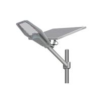 Lampadaire Solaire à Panneau Séparé 100W avec Panneau Mono 5V 30W et Batterie LiFePO4 IP65 pour l'Infrastructure Municipale