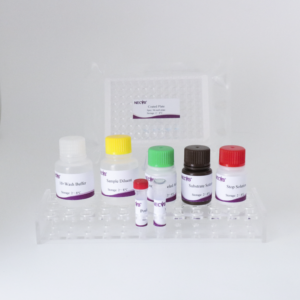 एफएमडीवी मूल 1 एंटीबॉडी एलिसा किट | 96 टी प्लेट | ई प्रमाणित | पैर और मुंह का रोग परीक्षण - Product Image 3