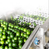 Machine de tri et de calibrage automatique en acier inoxydable 304 pour pommes, oignons, oranges, myrtilles, pommes de terre, avocats, dattes, fruits et tomates avec fonction de lavage