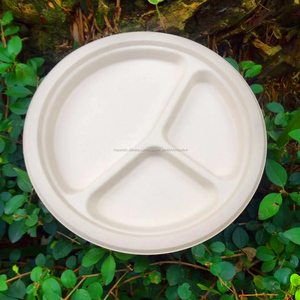 Platos desechables ecológicos 100% compostables de fibra de bambú redonda de 9 pulgadas para picnics, barbacoas y fiestas - Product Image 5