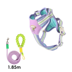 Set Pettorina e Guinzaglio per Cani Senza Strappi, in Rete Morbida, Colore Fluorescente, per Animali Domestici S <span class=keywords><strong>M</strong></span> L XL - Product Image 1