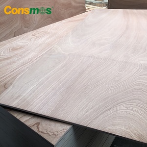 1220*2440mm 12mm 15mm 18mm impermeable WBP pegamento Sapele <span class=keywords><strong>Okoume</strong></span> Bintangor chapa madera contrachapada comercial tableros - Product Image 4