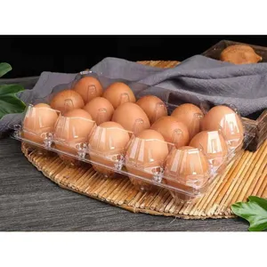 Fabrik preis 15 Löcher PVC/PET Klar Einweg-Kunststoff-Blister-Verpackungs schalen Ei