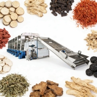 Complete 1 ton/uur 2 ton/uur 3 ton/uur lijn voor het wassen, snijden, blancheren, dehydrateren en drogen van verse fruit- en groentechips voor boerderijen