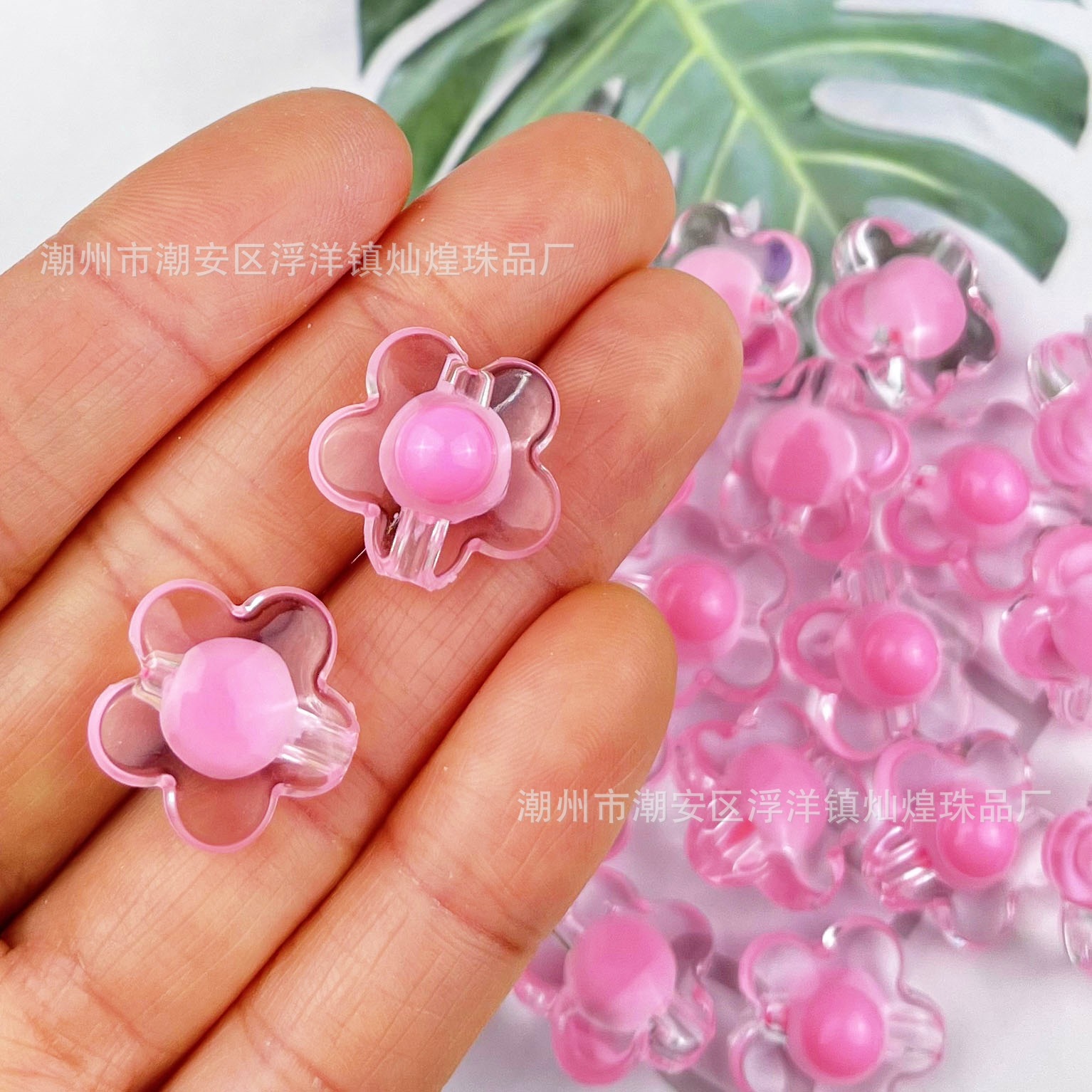 Pearl River Delta Plum Blossom Pink