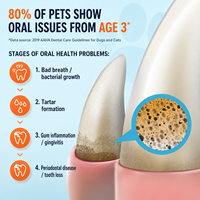 Spray buccal nettoyant Nano Argent pour chats et chiens, soin dentaire sans brossage pour une haleine fraîche et le contrôle du tartre