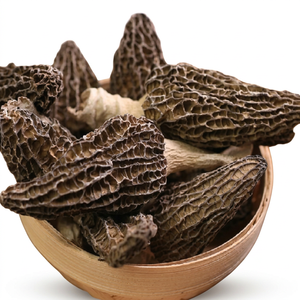 ซัพพลายเออร์ของ100% บริสุทธิ์และธรรมชาติแห้ง Morels จากอินเดีย - Product Image 1