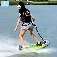Planche de surf électrique 48V pour le surf en mer avec moteur de Lumark Wholesale, Chine
