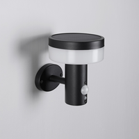 Lampe solaire LED décorative noire en acier inoxydable avec détecteur de mouvement, étanche, rechargeable, à intensité variable, pour mur extérieur