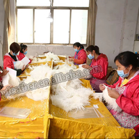 Couture tissu ruban frange plumes d'autruche garniture pour bricolage artisanat vêtements robe Costume chaussure accessoires fête maison mariage décor