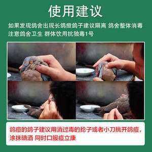 Suplemento Vitamínico con Plantas Naturales en Tabletas para Palomas y Aves, Seguro para Todas las Etapas de Vida, Refresca y Reduce el Calor - Product Image 5