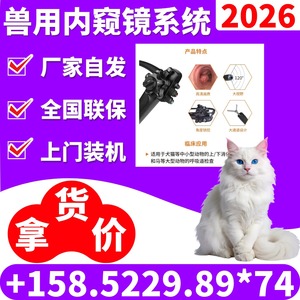 Sistema de Endoscopia Veterinaria para Examen y Tratamiento de Nariz, Oído, Tráquea, Vejiga Urinaria y Riñón, Enchufe Eléctrico, Certificado CE - Product Image 2