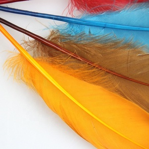 สีที่สวยงามย้อมขนห่านธรรมชาติลงราคาพรรคขนนก - Product Image 2