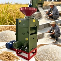 Machine à décortiquer et à moudre le riz à grande échelle, pour usage commercial