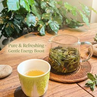 Thé blanc de pivoine de Fuding en vrac, récolte fraîche, sain, antioxydant, bien-être, immunité, thé blanc chinois traditionnel en vrac