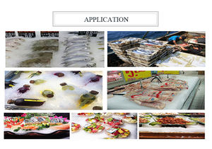 1 tonelada de nieve, copos de hielo, máquina para hacer nieve, máquina de hielo Flack - Product Image 6