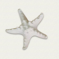 Moule en plâtre étoile de mer série marine écologique en promotion, ornement décoratif cadeau, diffuseur de parfum en pierre, personnalisable