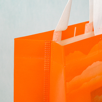 Sac fourre-tout personnalisé en PET non tissé avec finition mate, emballage écologique pour vêtements, chaussures et chaussettes, logo personnalisé