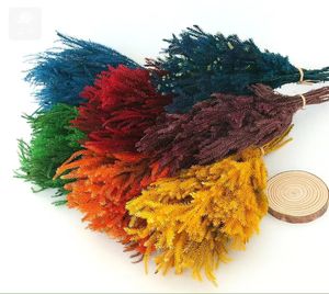 Ide produk baru 2023 lumut klub bunga yang diawetkan untuk semua jenis dekorasi Festival klub lumut - Product Image 2