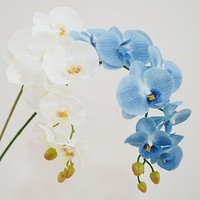 Fleurs d'orchidée Phalaenopsis artificielles de haute qualité, toucher réaliste, matériau en latex, décoration de salon, décoration de la maison, remise de diplôme, Pâques
