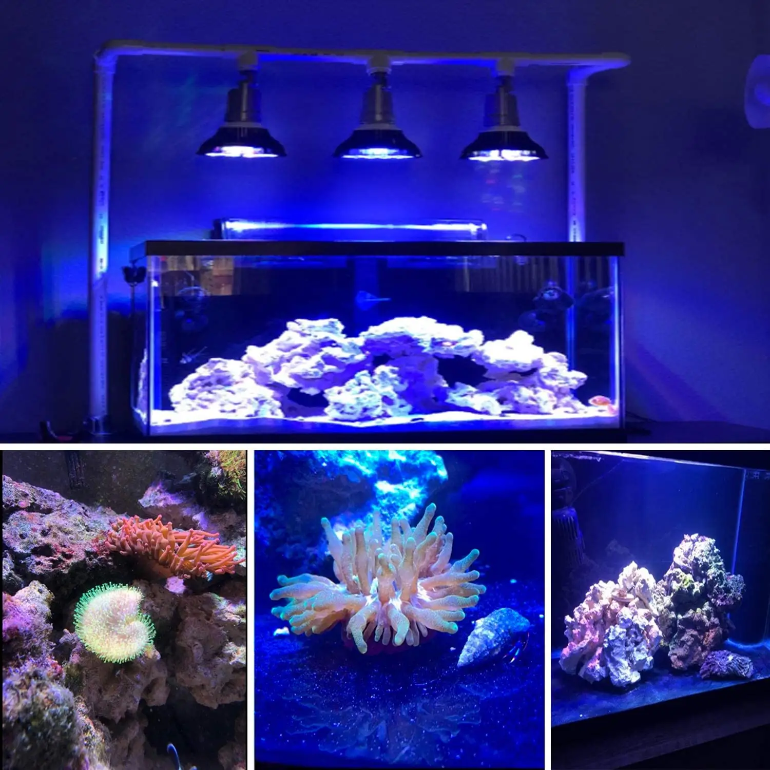 Bohlam Lampu LED Akuarium E27 E26, Bola Lampu Tangki Ikan 18W Spektrum Penuh untuk Pertumbuhan Tanaman Tangki Air Asin Batu Karang