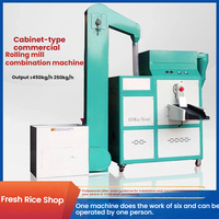 Machine à décortiquer le riz automatique à haute efficacité 450 kg/h avec fonction de broyage du son brun 380V pour l'industrie du riz