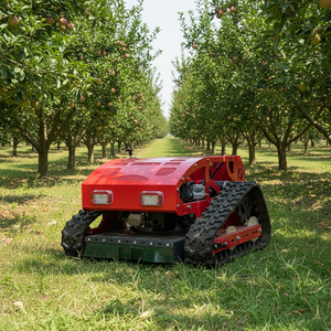 免费送货 100% 遥控式卷轴式割草机 花园履带式割草机 汽油割草机 - Product Image 3