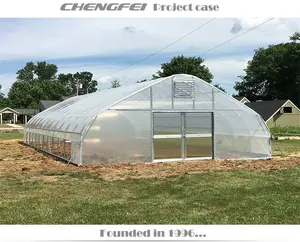 Chengfei OEM/ODM new design commercial tunnel /dome shape film poly tunnel green house greenhouse with hydroponic